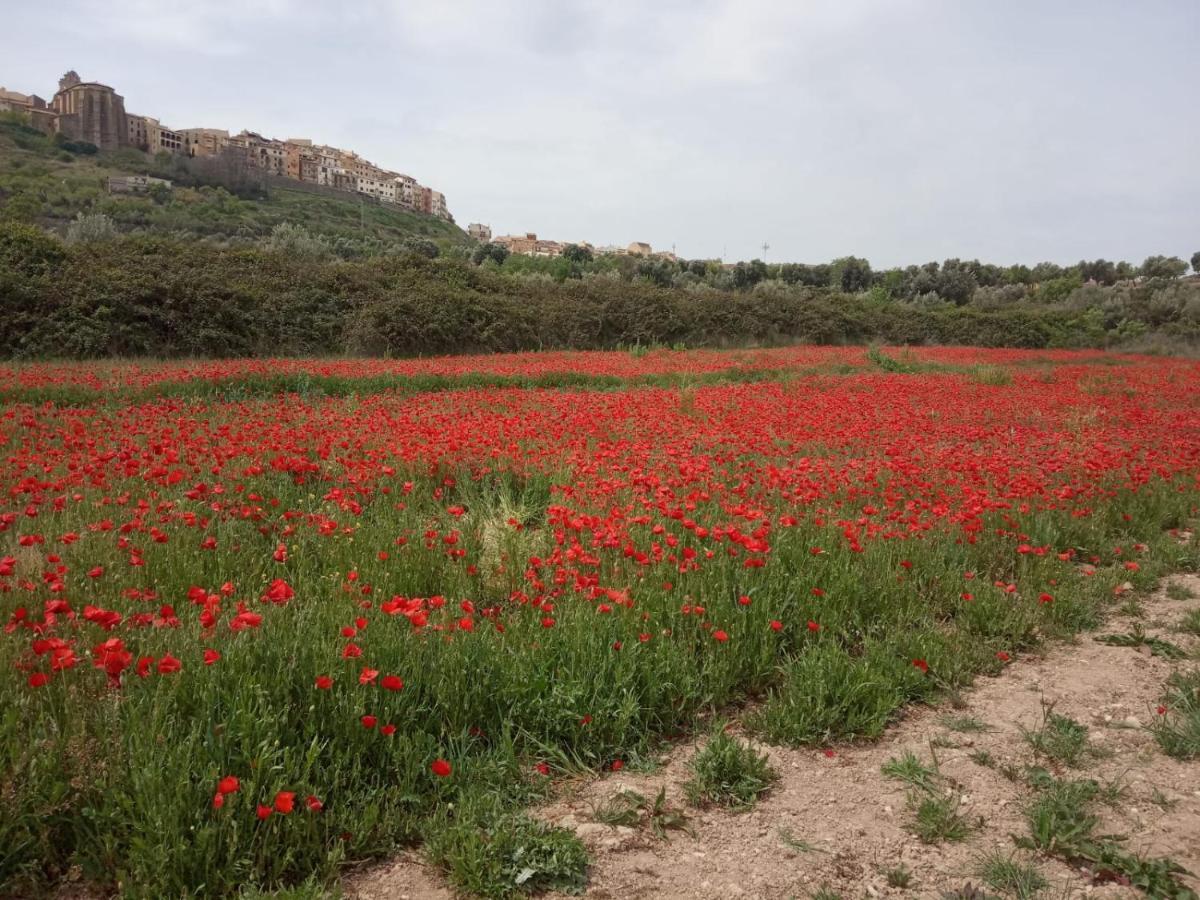 Апартаменты Els Ports D'Horta Орта-де-Сан-Жоан Экстерьер фото